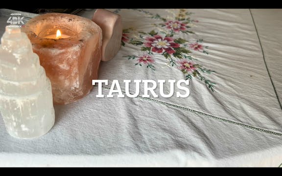 Taurus - Understanding What It's Goin...