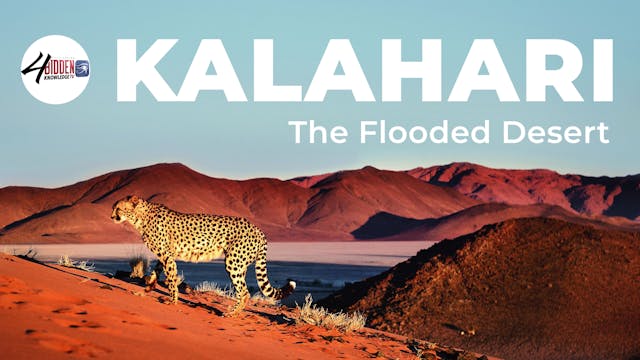 Kalahari The Flooded Desert  
