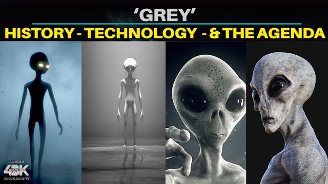 A Definitive Guide to Grey Aliens Who...