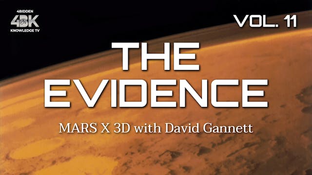 THE EVIDENCE - VOL.11