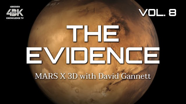 THE EVIDENCE - VOL.8