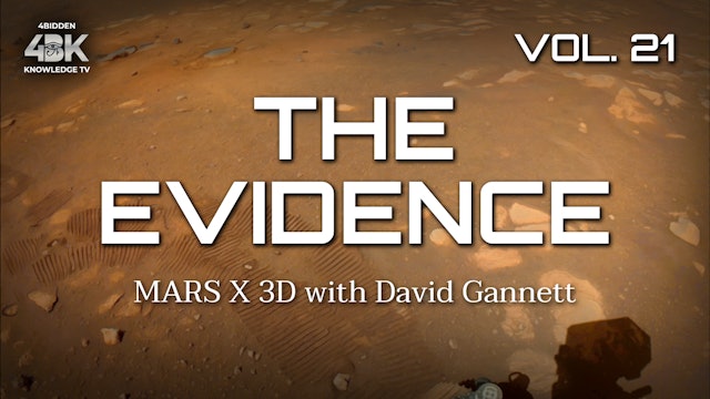THE EVIDENCE VOL.21