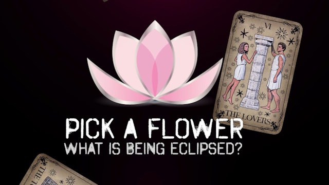 Pick a Flower - Tarot Cards Reading - What is Eclipsing you?