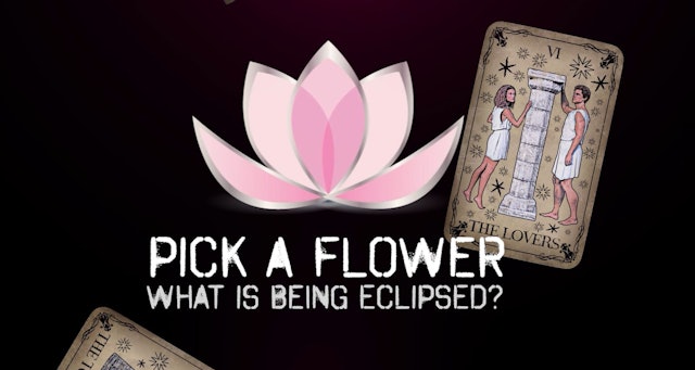 Pick a Flower - Tarot Cards Reading - What is Eclipsing you?