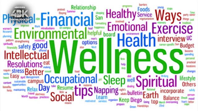 Conscious Health & Wellness