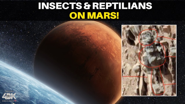 Scientist Claims Photographic Evidence of Insect and Reptile Life on Mars