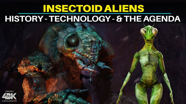 Insectoid Aliens: Who Are They, And W...