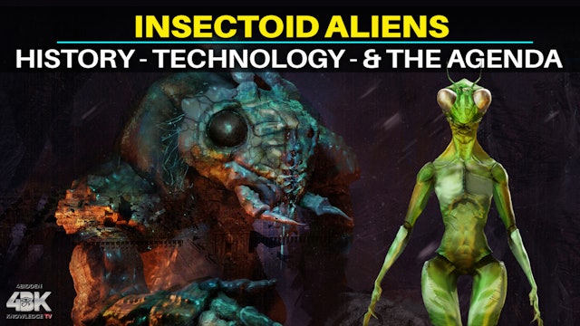 Insectoid Aliens: Who Are They, And Why Are They Here?