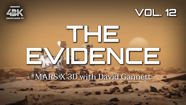 THE EVIDENCE - VOL.12