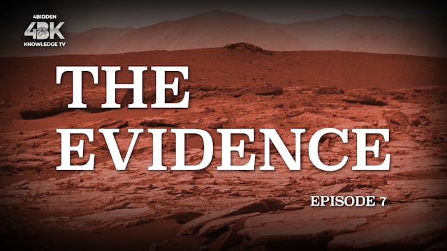 THE EVIDENCE - Vol.7