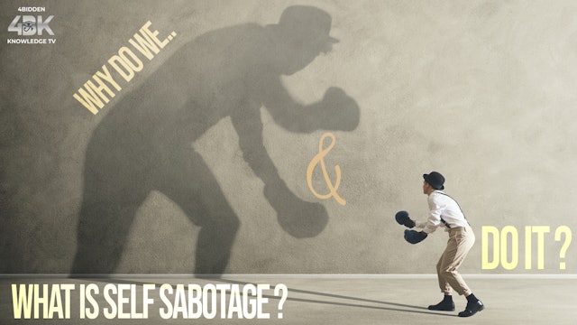 What is Self Sabotage and Why do we All do it?