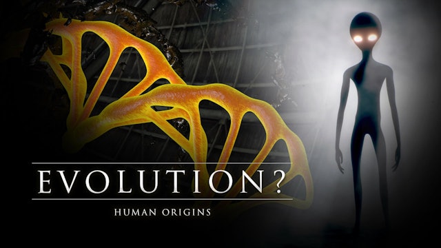 Human Evolution | The Anunnaki Intervention