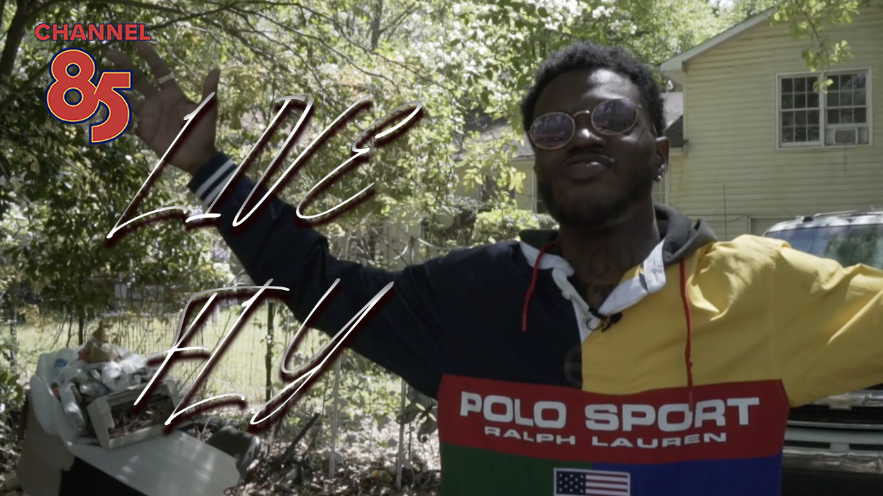 LIVE FLY (Documentary)