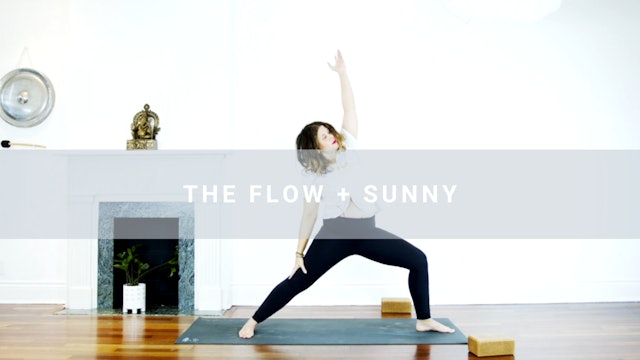 The Flow + Sunny (26 min) 