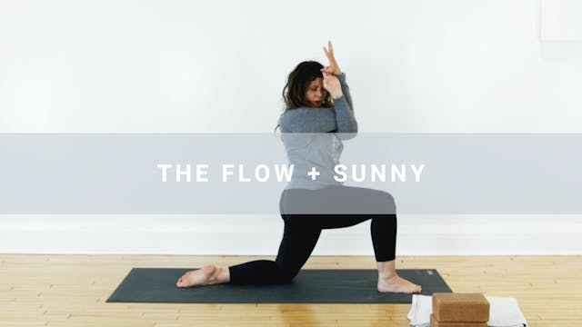 The Flow + Sunny (38 min)