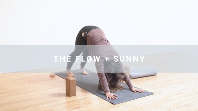 The Flow + Sunny (44 min)