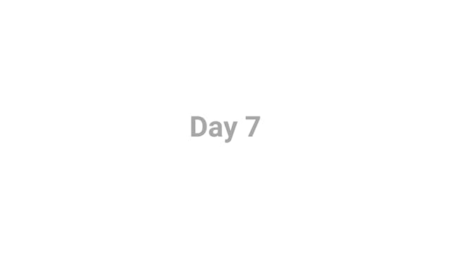 DAY 7