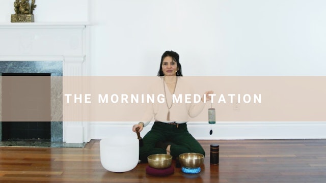 The Sun Awareness Meditation + Fernanda (20 min)