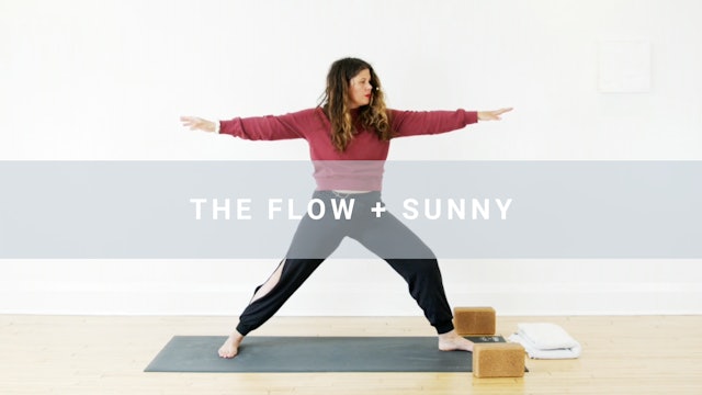 The Flow + Sunny (43 min)