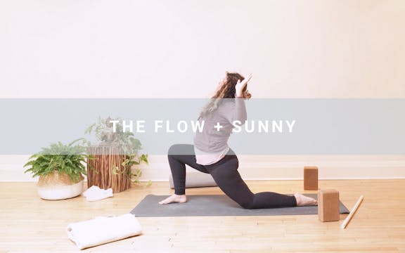 The Flow + Sunny (65 min)