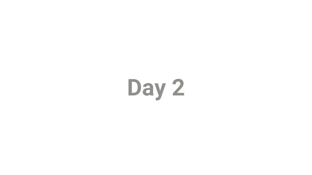 Day 2