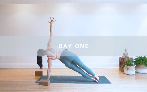 Day One: Cleanse - The Power Flow