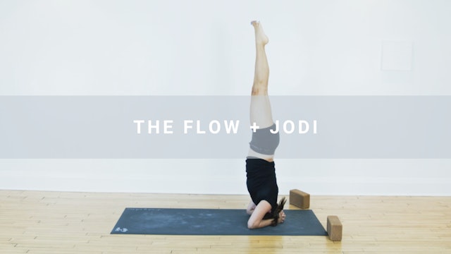 The Flow + Jodi (77 min)