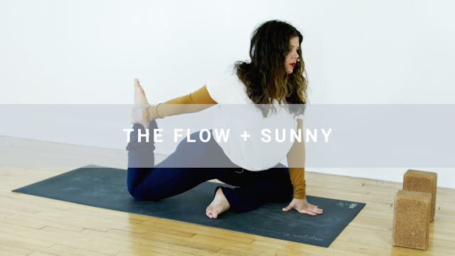 The Flow + Sunny (31 min)