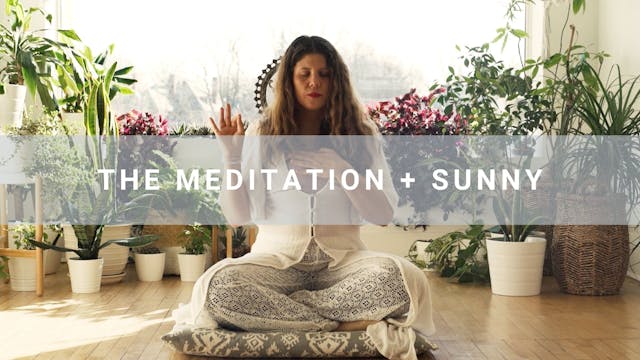 The Meditation + Sunny (12 min)
