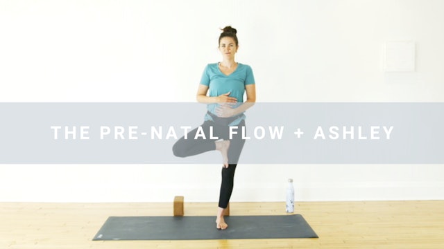 The Prenatal Flow + Ashley (30 min)