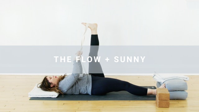 The Flow + Sunny (19 min)