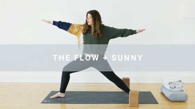 The Flow + Sunny (40 min)