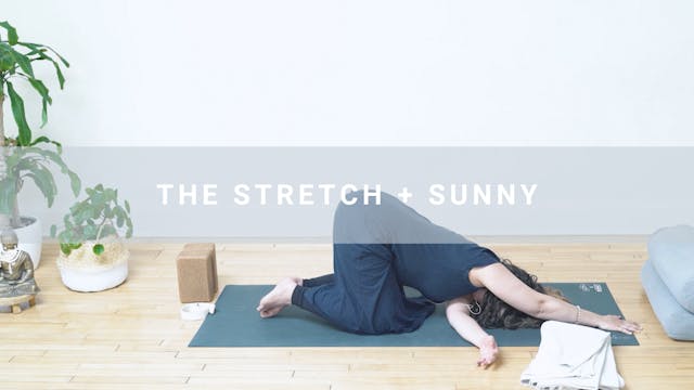 The Stretch + Sunny (18 min)