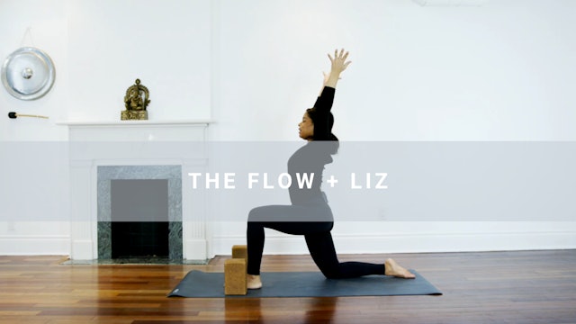 The Flow + Liz (29 min)  