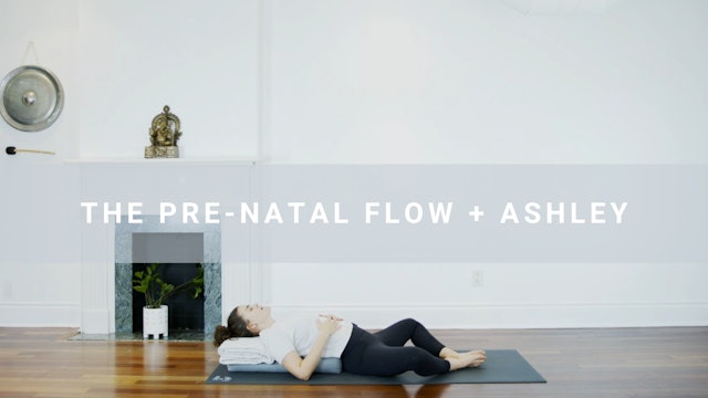 The Prenatal Flow + Ashley (20 min) 