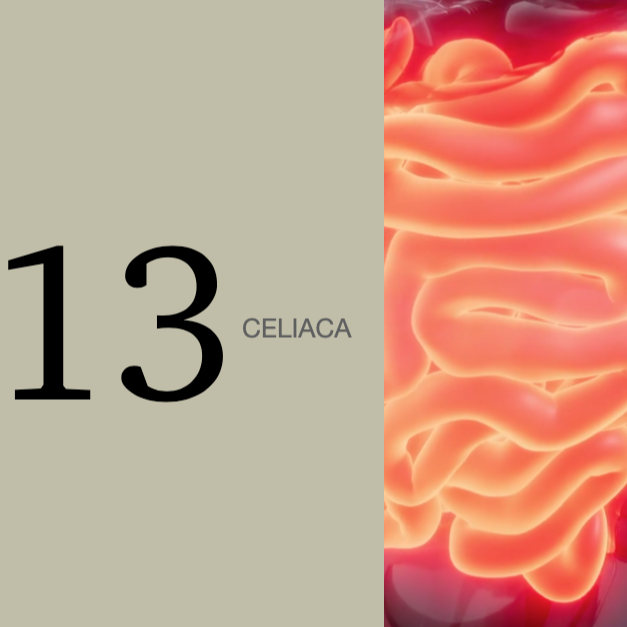 Celiaca 13