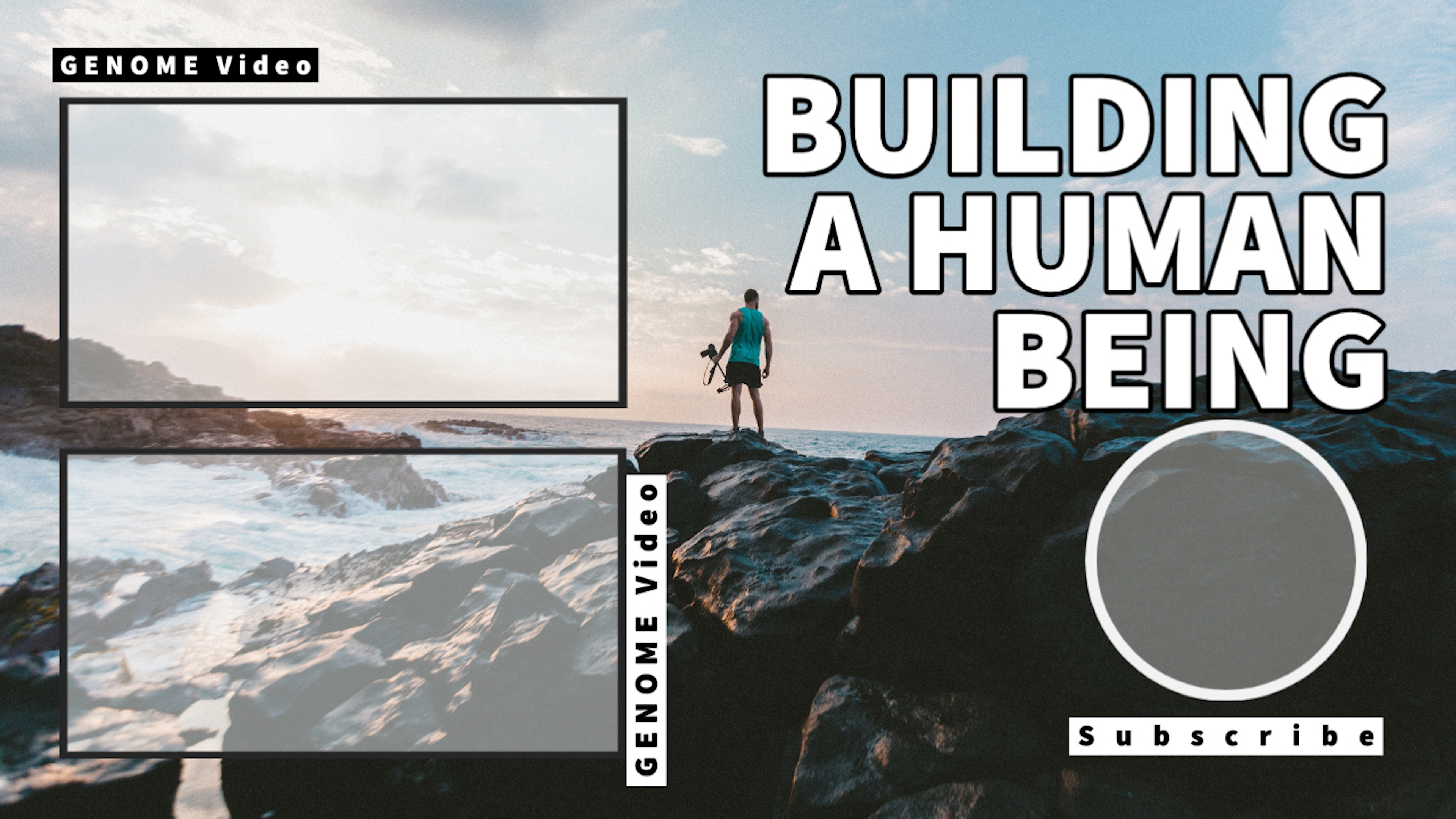 How useful is the genome to build a human being