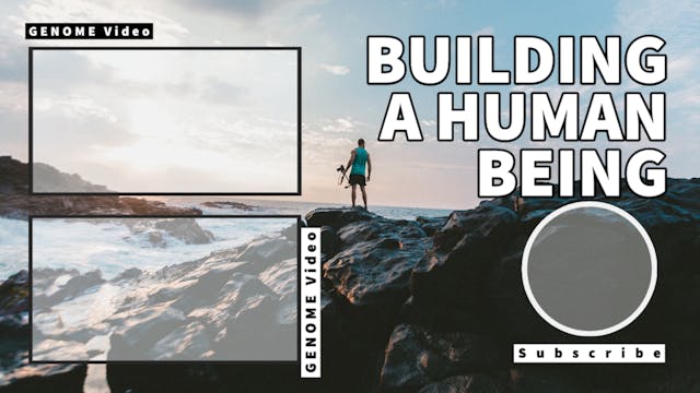 How useful is the genome to build a h...