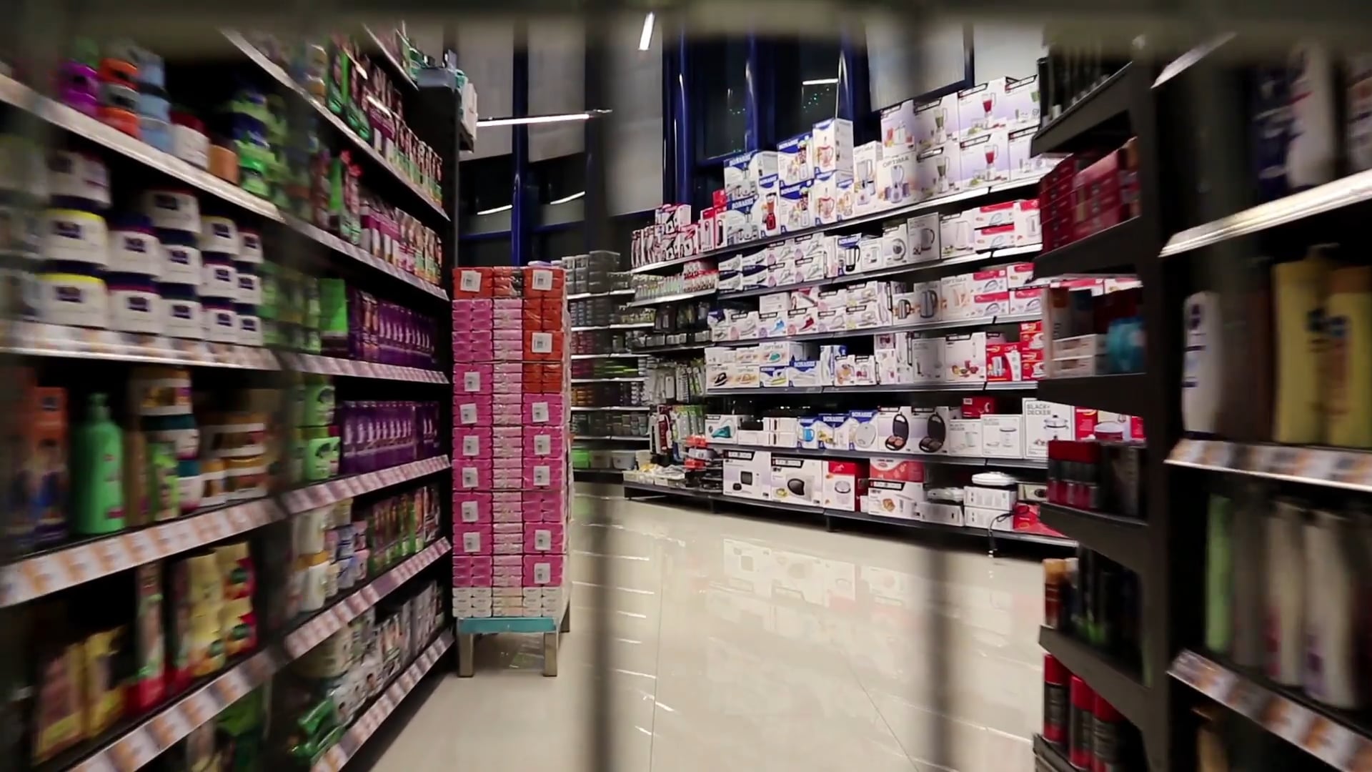 Food, in the history of human species