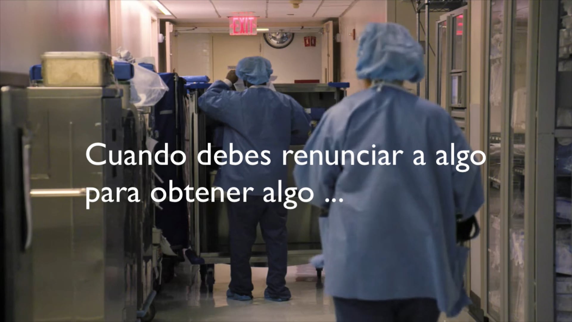 Vidas en profesiones de vida