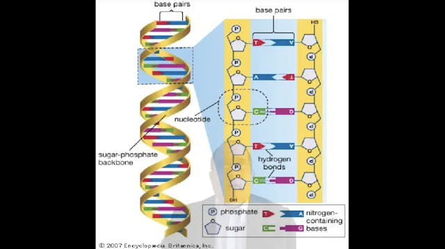 Beneficios del Protocolo