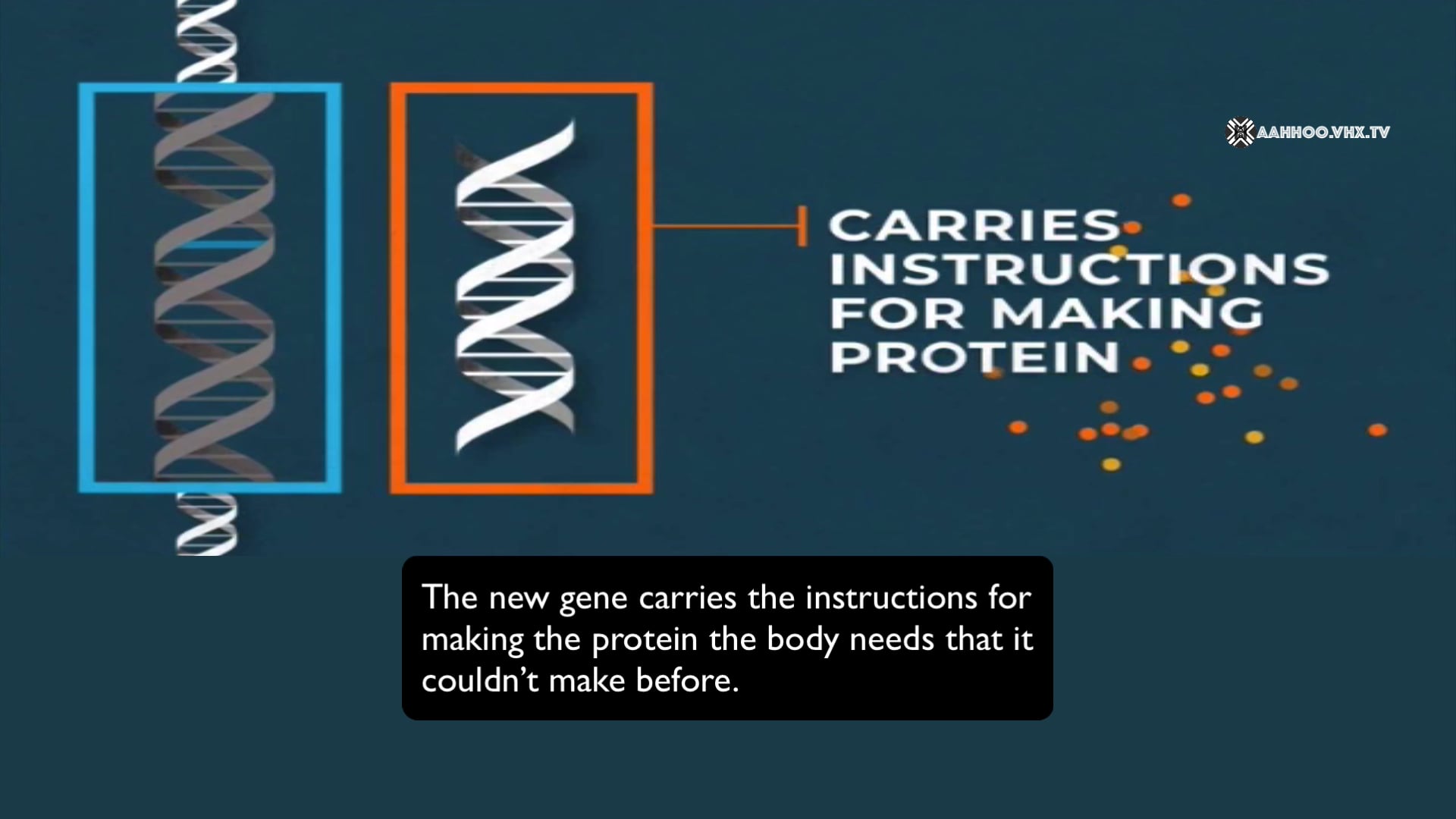 Monogenic and Polygenic