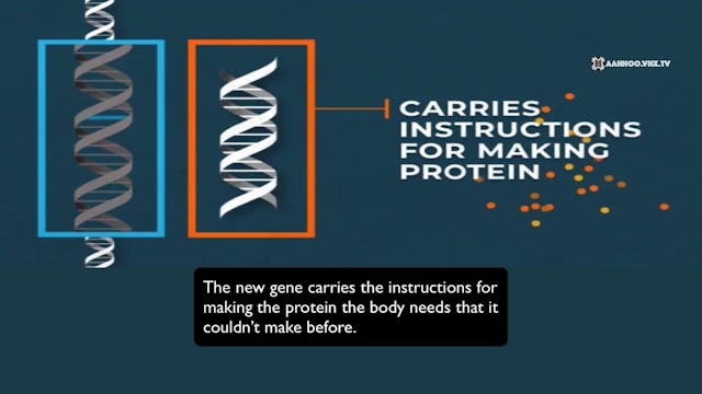 Monogenic and Polygenic