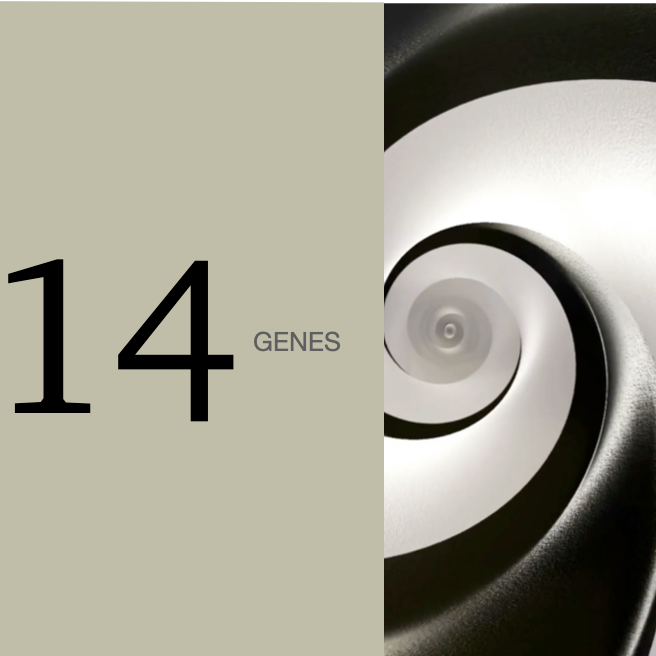 Genes 14