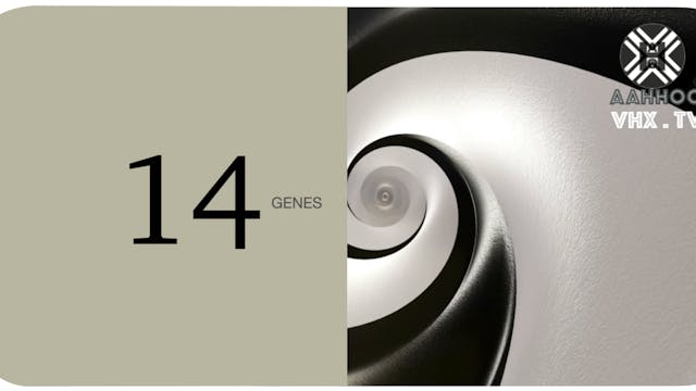 Genes 14