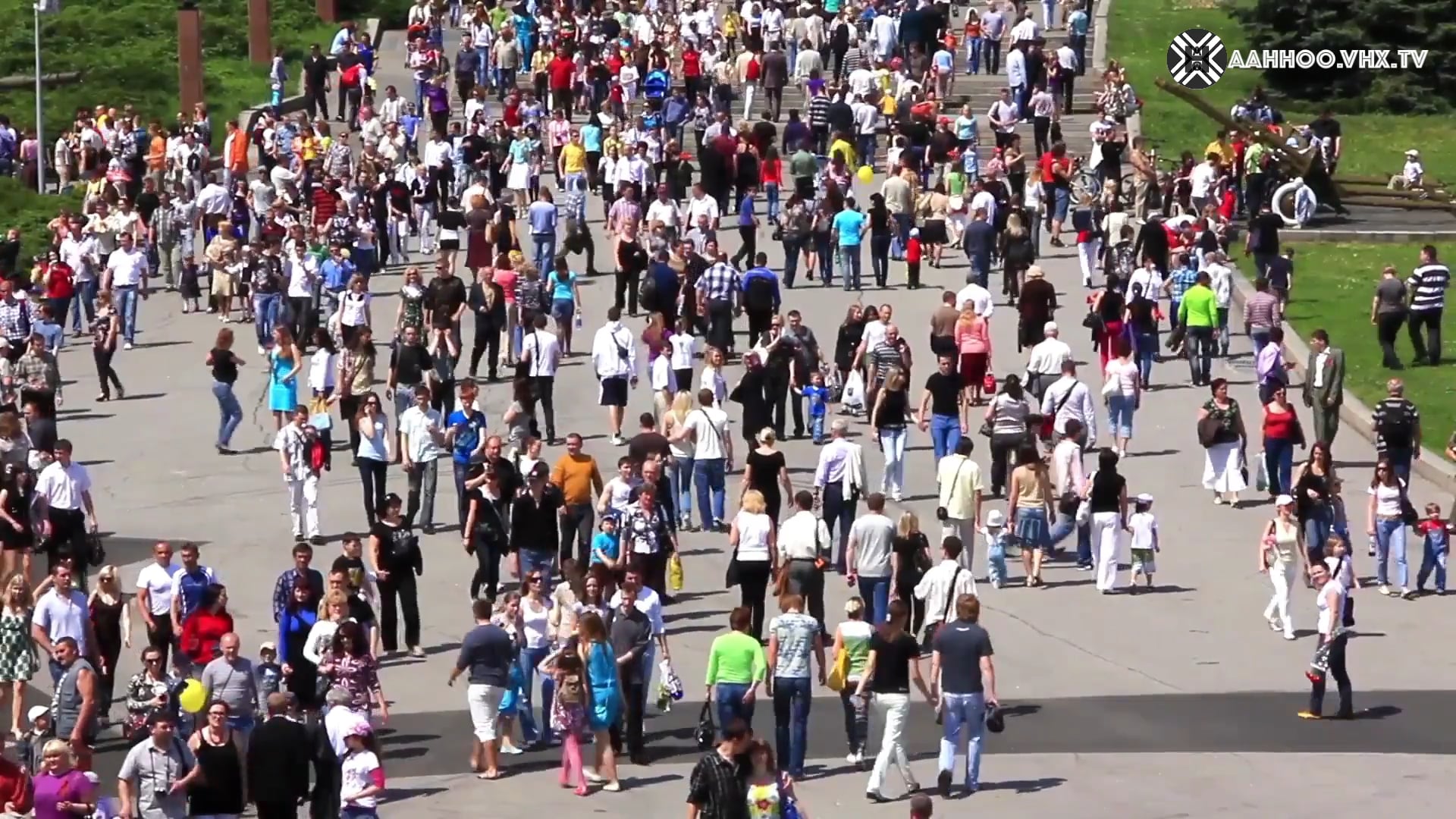 Vegetables, in the history of human species