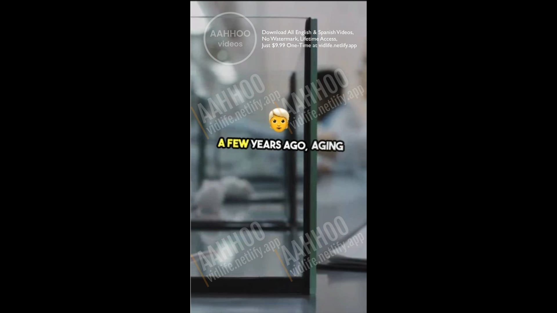 Who is more important in business—the seller or the buyer? 