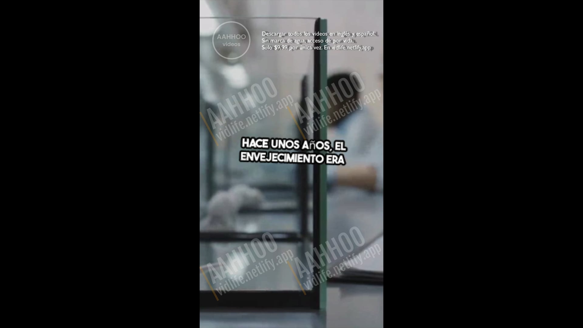 ¿Quién es más importante en los negocios: el vendedor o el comprador?