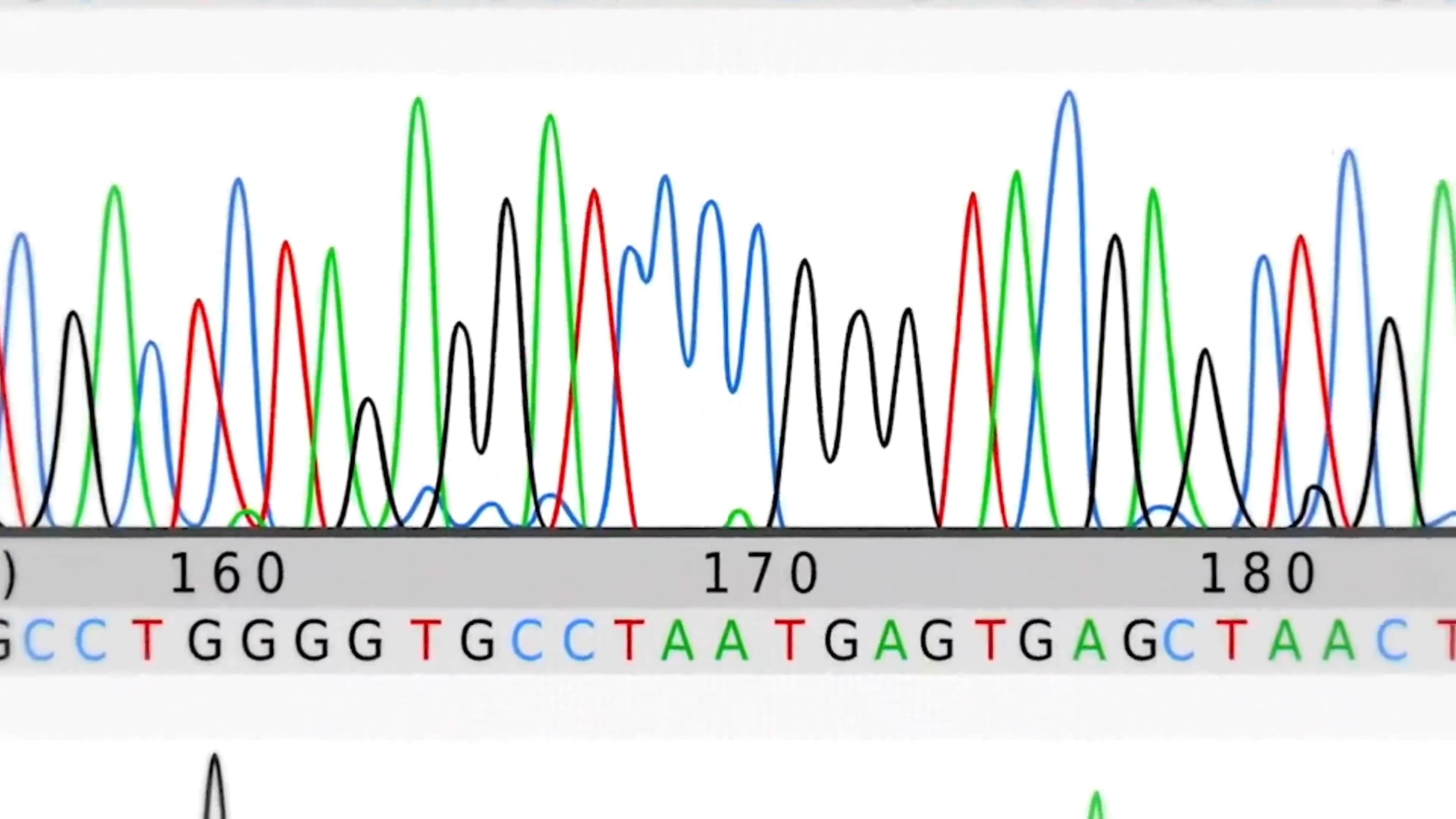 La Vida segun el Dr. Moya