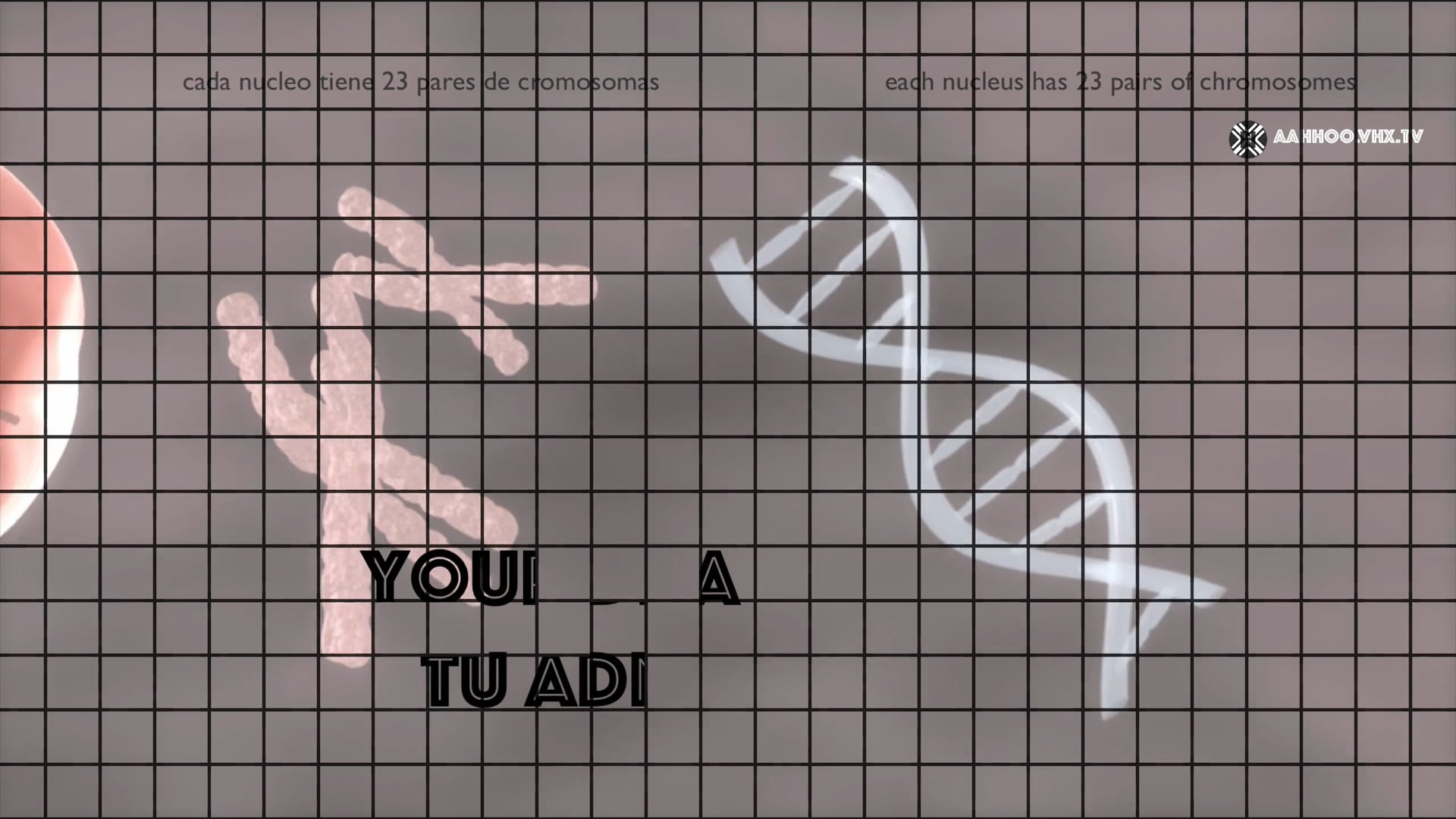 Know your health risk